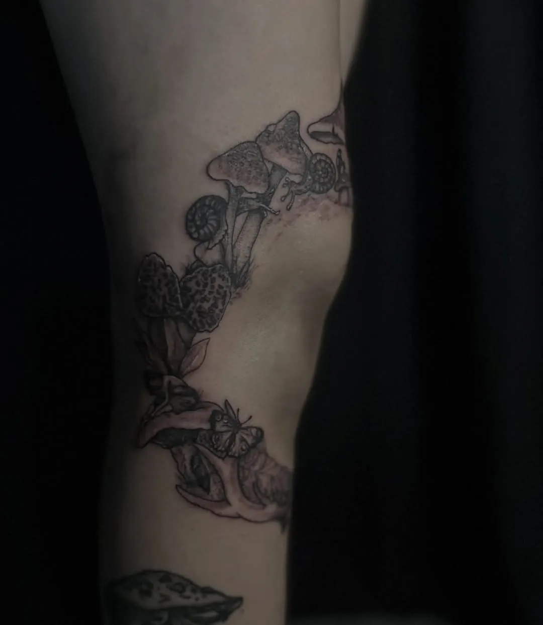 Neo-Traditional tattoo by Paige Thornsbrough at Dreamers Ink Studio in Westville, IL