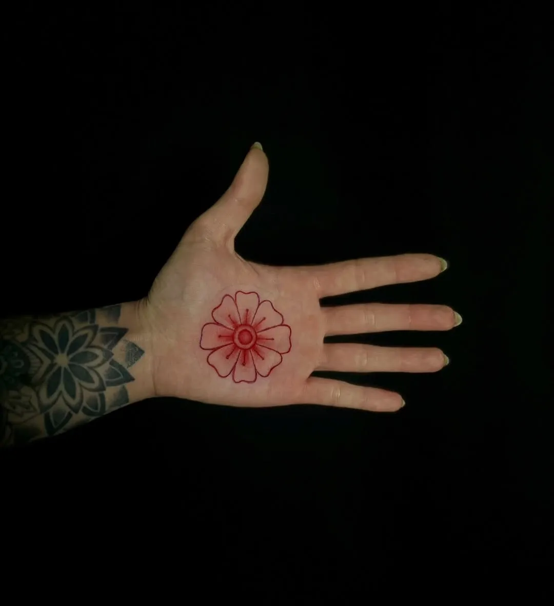 American Traditional tattoo by Paige Thornsbrough at Dreamers Ink Studio in Westville, IL